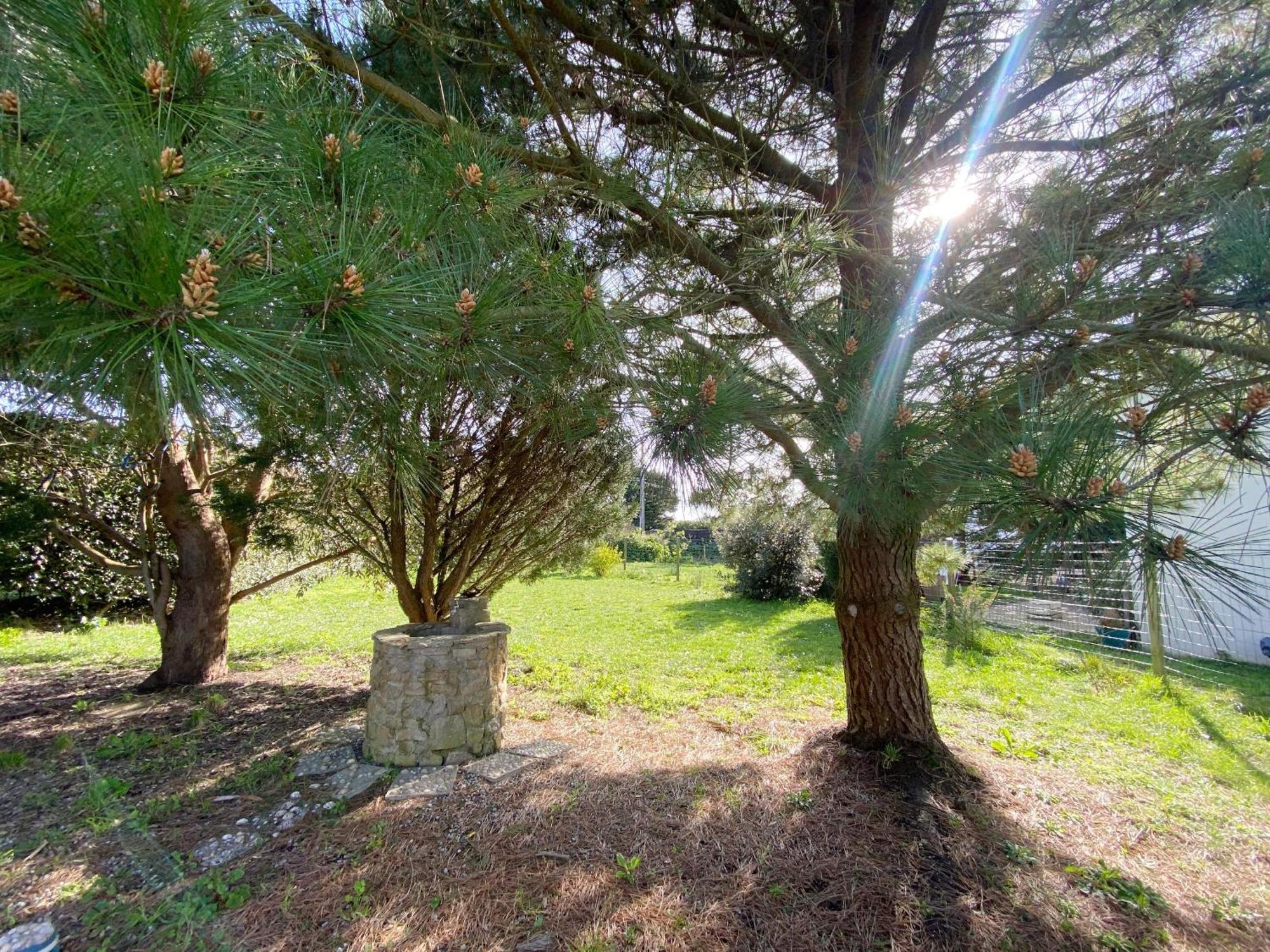 Villa Er Blehua - 5 Pieces, Jardin, Sainte-Barbe - C58 Plouharnel Exterior foto